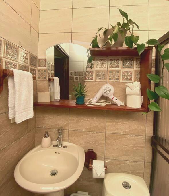 Peace Garden Apartment Monteverde 外观 照片