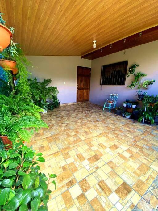 Peace Garden Apartment Monteverde 外观 照片