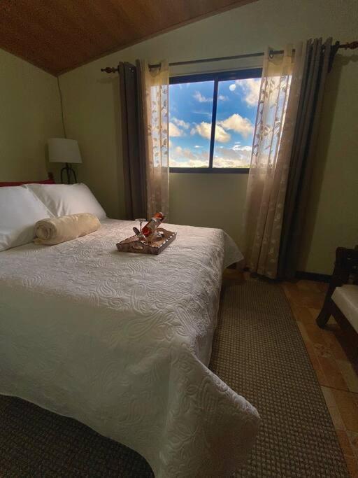 Peace Garden Apartment Monteverde 外观 照片