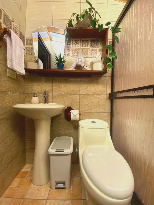 Peace Garden Apartment Monteverde 外观 照片