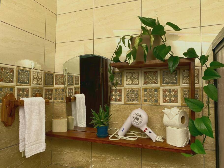 Peace Garden Apartment Monteverde 外观 照片