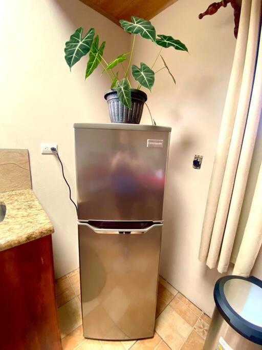 Peace Garden Apartment Monteverde 外观 照片