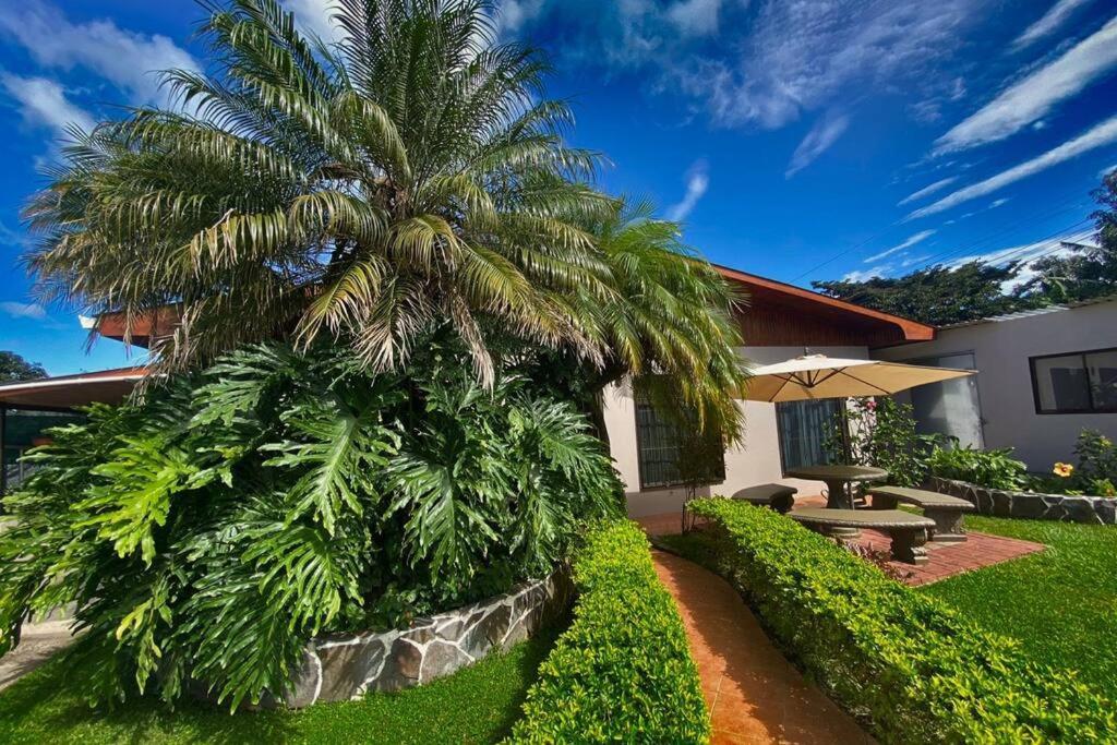 Peace Garden Apartment Monteverde 外观 照片
